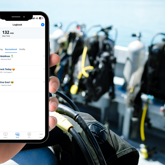 Why Logging Your Dives Matters
