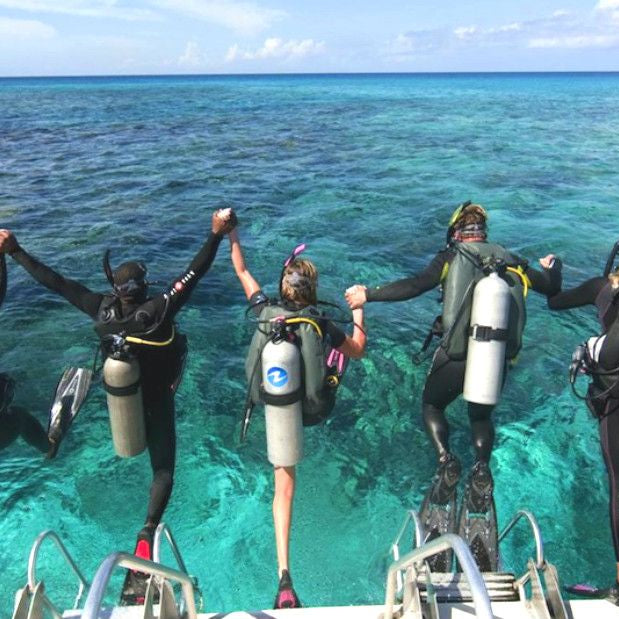 Make ocean your new office! - divecampus