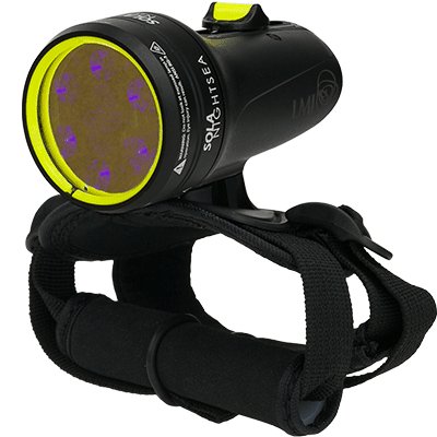 Light and Motion Sola NightSea 3000L light - divecampus