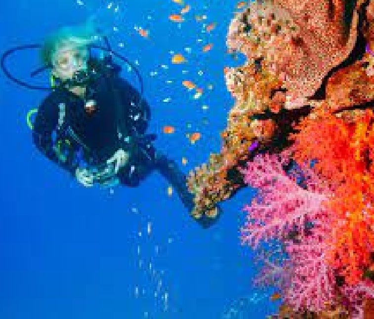 Main Title of the event here - divecampus