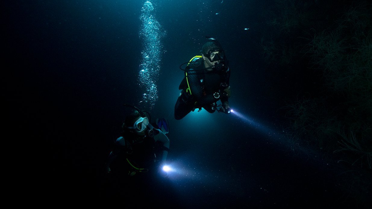 Night Dive at Fujairah with full equipments (75 mins drive from Dubai) - divecampus