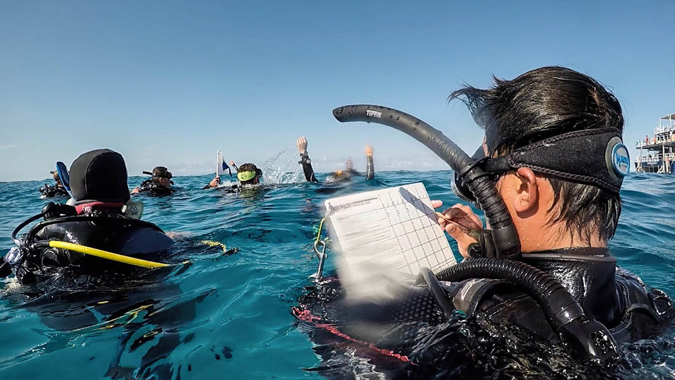 PADI IDC Staff Instructor Course - divecampus