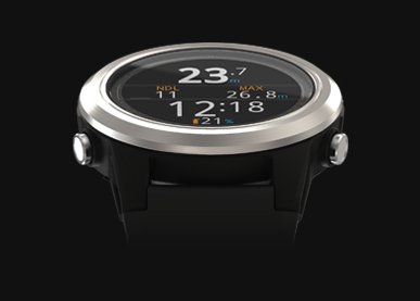 Shearwater Tern & Tern Tx (Pre-order: Restocking Soon) - divecampus