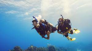 Value Pack | Big Savings on Fun Dive Trips in the East Coast