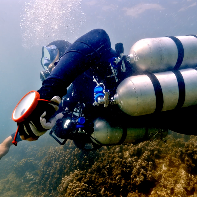 Dive Deeper: Your Ultimate Guide to Technical Diving