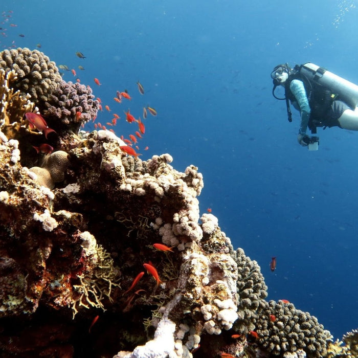 Perfecting your buoyancy & trim - divecampus