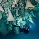 Mystical Cenotes of Mexico - March 2024 | 8 Nights, 14 dives