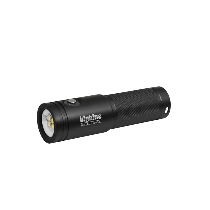 Bigblue Black Molly VII 2900-Lumen Video Light (AL2900XWP)