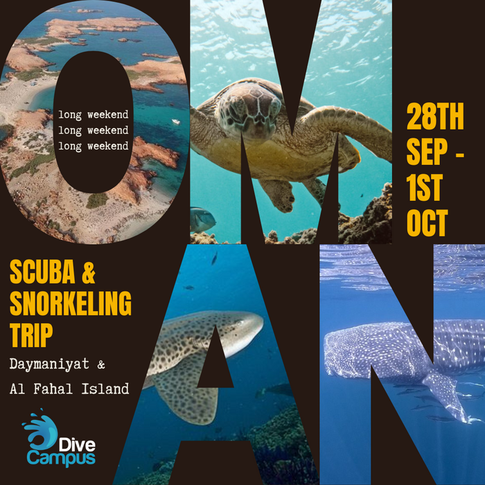 Scuba & Snorkeling Trip in Daymaniyat & Al Fahal Island | Muscat Oman
