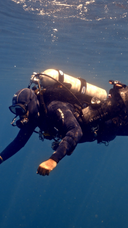 <p>TRUE MASTERY IN DIVE EDUCATION</p>