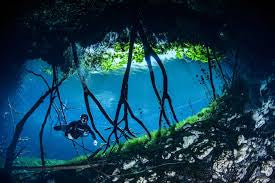 Mystical Cenotes of Mexico - March 2024 | 8 Nights, 14 dives