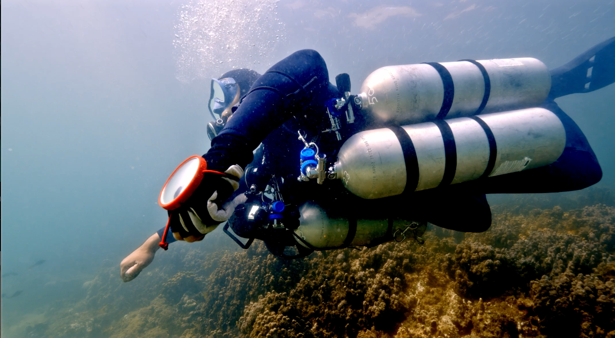 PADI Tec Deep Course (Save more with 40, 45, 50m Combo)