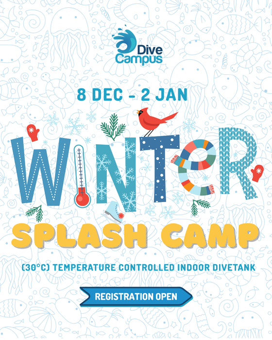 Winter Splash Camp for Kids (1 week)