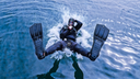 <p>Experience 3,500+ Marine Species</p>