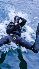 <p>Experience 3,500+ Marine Species</p>