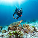 Value Pack | Big Savings on Fun Dive Trips in the East Coast