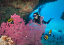 Fun dive for Certified Divers