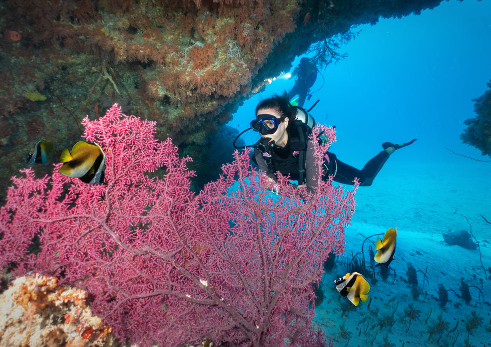 Fun dive at East Coast for Certified Divers