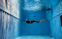 Try Freediving (Skin Diving)