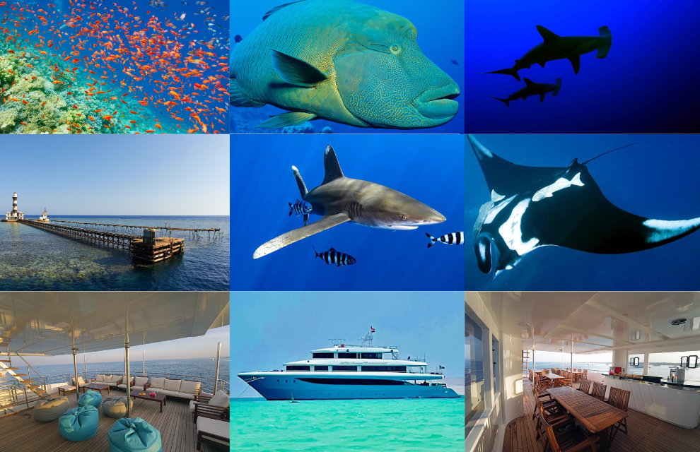 Egypt Red Sea Golden Triangle (BDE): Sep 2024 | 7 Nights, 17-18 Dives