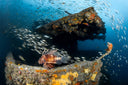 Value Pack | Big Savings on Fun Dive Trips in the East Coast