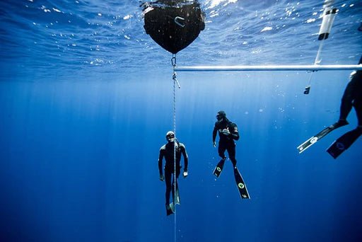 Freediving Trip for Certified Divers - Fujairah/Khorfakkan - divecampus