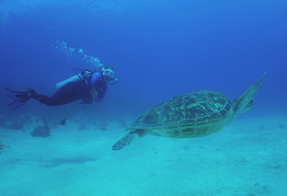 PADI Drift Diver DVD main image 0