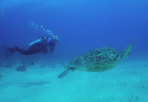 PADI Drift Diver Speciality - divecampus