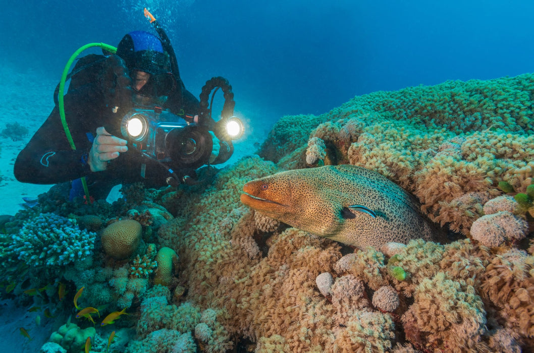 PADI Underwater Videographer Speciality - divecampus