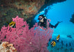 The Mesmerizing Khasab, Musandam | 27th - 29th Dec 2024 - divecampus