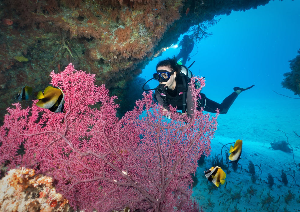 The Mesmerizing Khasab, Musandam | 27th - 29th Dec 2024 - divecampus