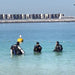 Fun Dive at Dubai (Shore Dive) - divecampus