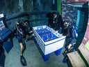 Guided Dive at Deep Dive Dubai - divecampus