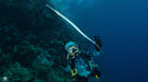 PADI Advanced Open Water Diver Course (All Fujairah Dives) - divecampus