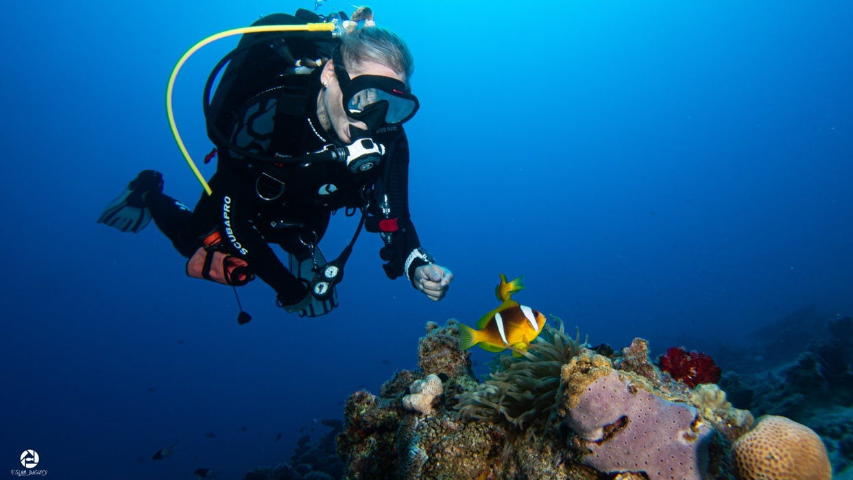PADI Adventure Diver Course - Discover your passion in Diving! - divecampus