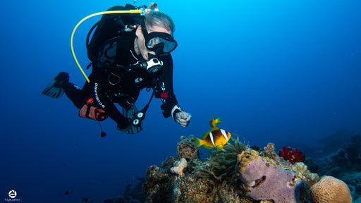 PADI Adventure Diver Course - Discover your passion in Diving! - divecampus