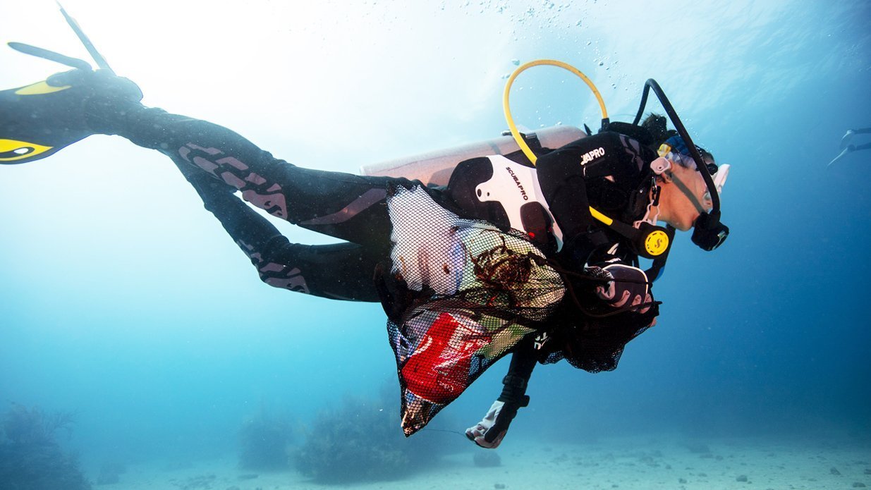 PADI Dive Against Debris® Diver Specialty - divecampus