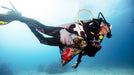 PADI Dive Against Debris® Diver Specialty - divecampus