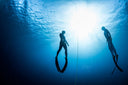 PADI Freediver Course | Become a certified freediver - divecampus