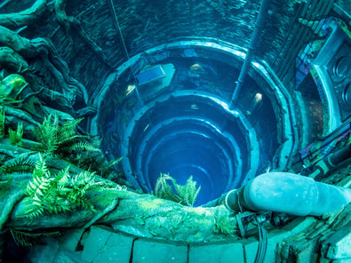 PADI Open Water Diver Course - Begin your diving journey! - divecampus