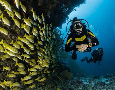PADI Open Water Diver Course - Begin your diving journey! - divecampus