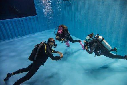 PADI Open Water Diver Course - Begin your diving journey! - divecampus