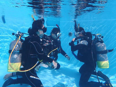 PADI Open Water Diver Course (Dubai + Fujairah Dives) - Become a certified diver! - divecampus