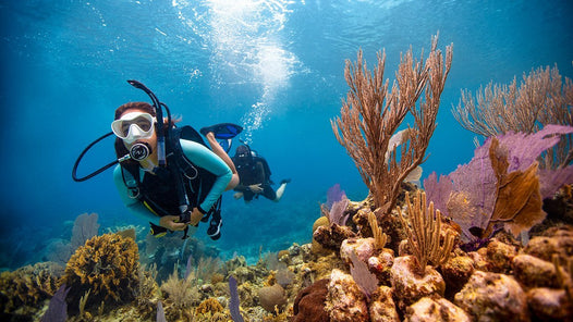 PADI Open Water Diver Course (without eLearning) - Become a certified diver! - divecampus