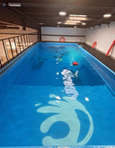 PADI Scuba Diver Course - Fastest way to get the PADI license! - divecampus