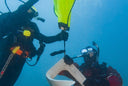 PADI Search and Recovery Diver Course - divecampus