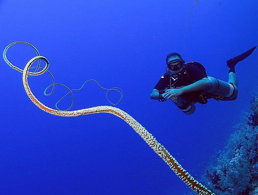 PADI Sidemount Diver Specialty Course - divecampus