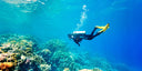 Value Pack | Big Savings on Fun Dive Trips in the East Coast