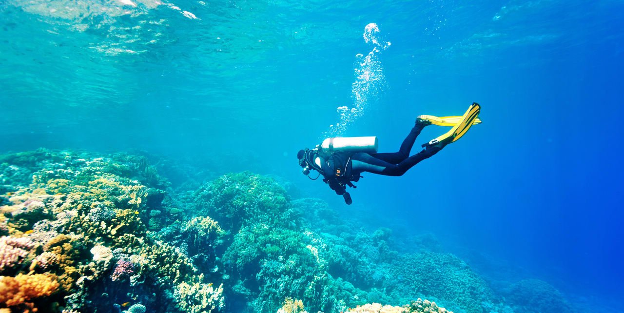 Value Pack | Fun Dives in Fujairah with tanks and weights (75 mins drive from Dubai)