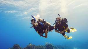 Value Pack | Fun Dives in Fujairah with tanks and weights (75 mins drive from Dubai)